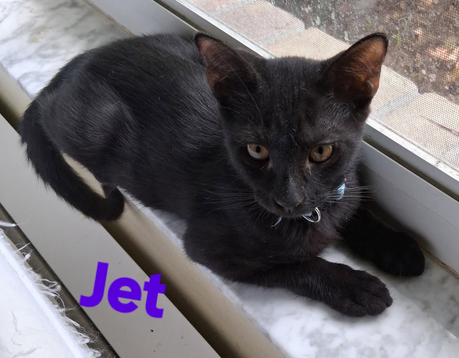 Jet
