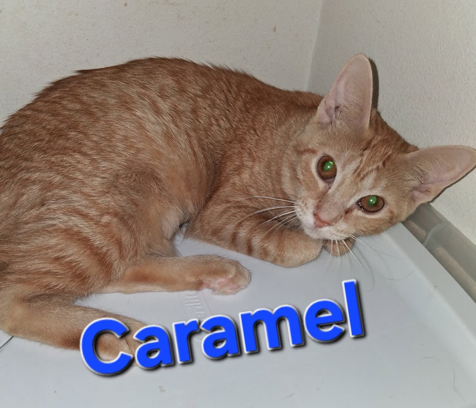 Caramel