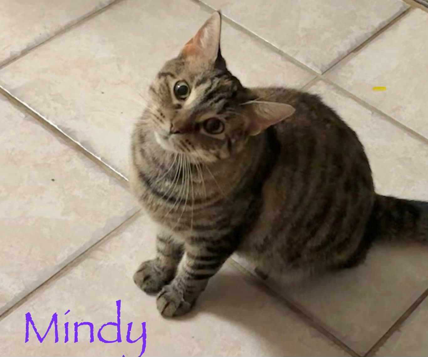 Mindy