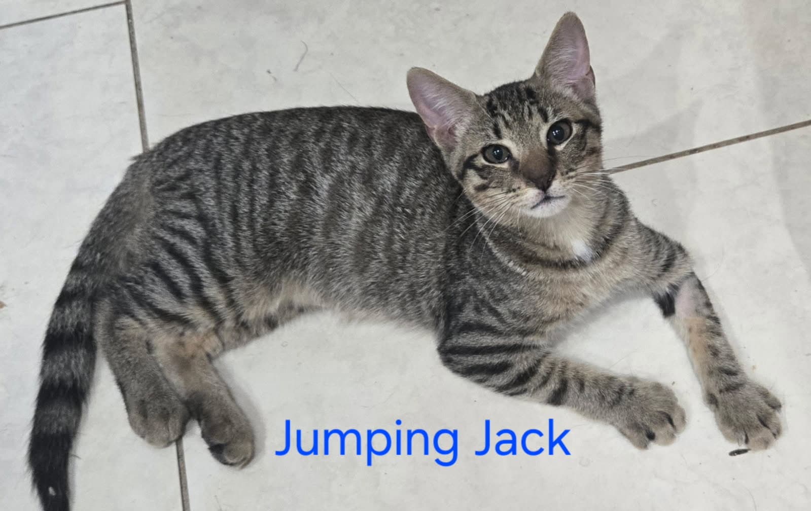 Jumping Jack