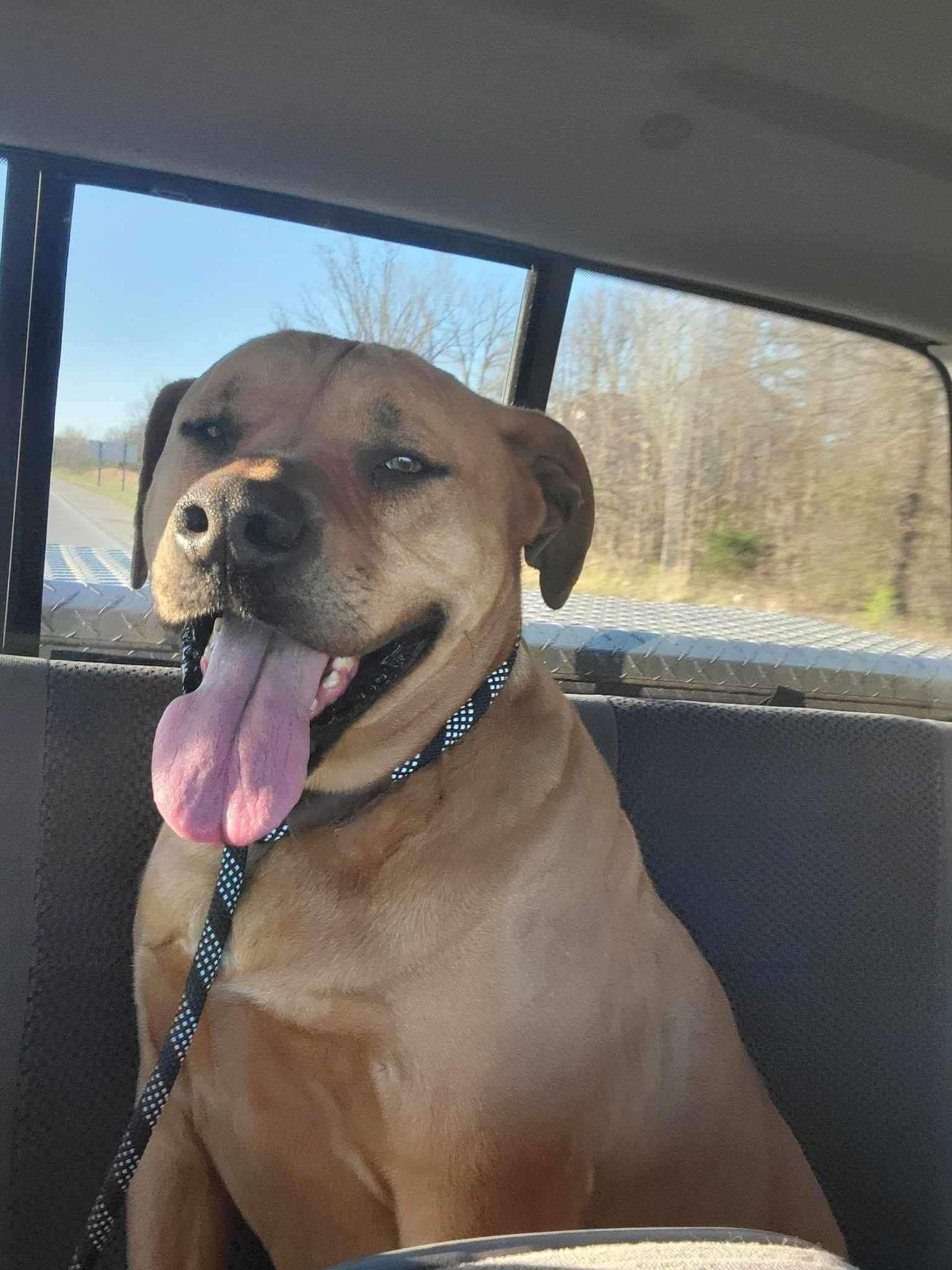 Odin