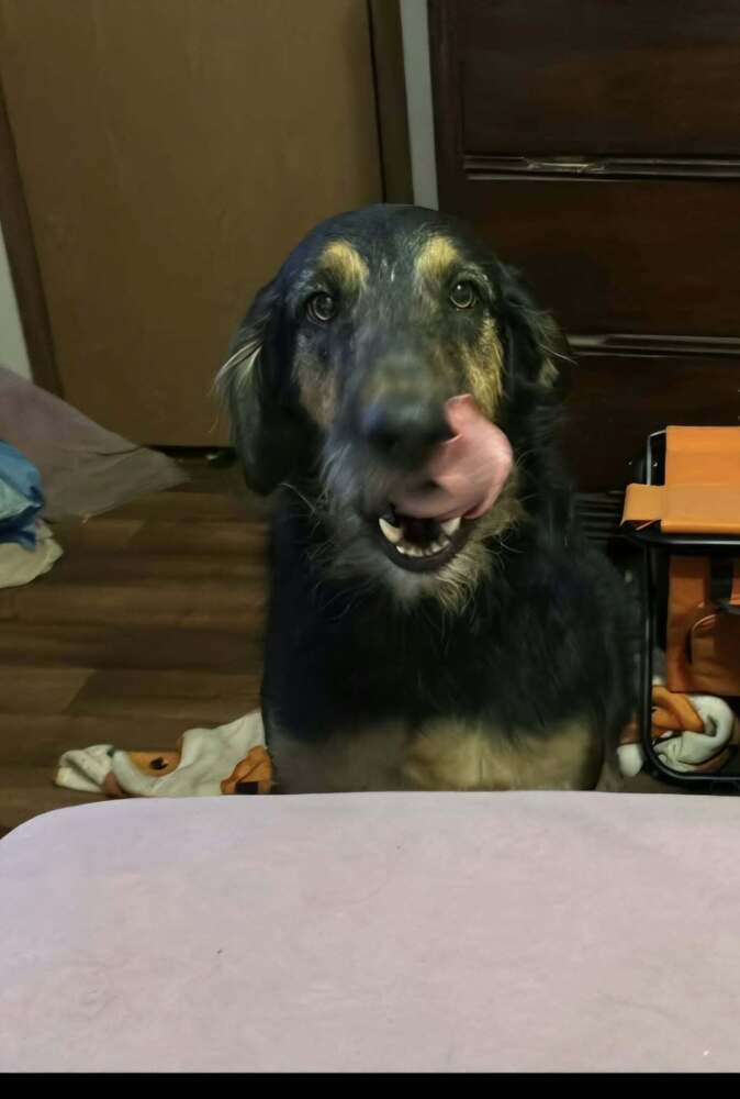 Molly Doo