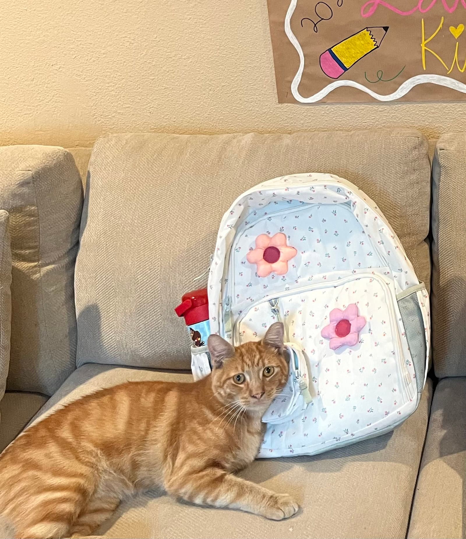 Pumpkin & Cheesy (Courtesy Post)