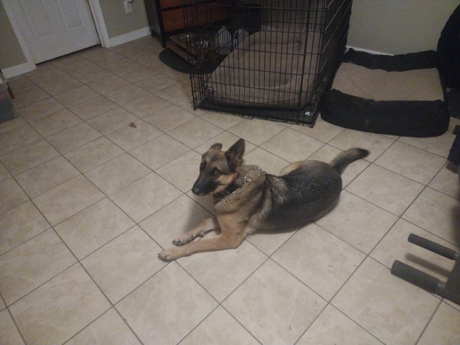 Lilly 2 (Courtesy Post)