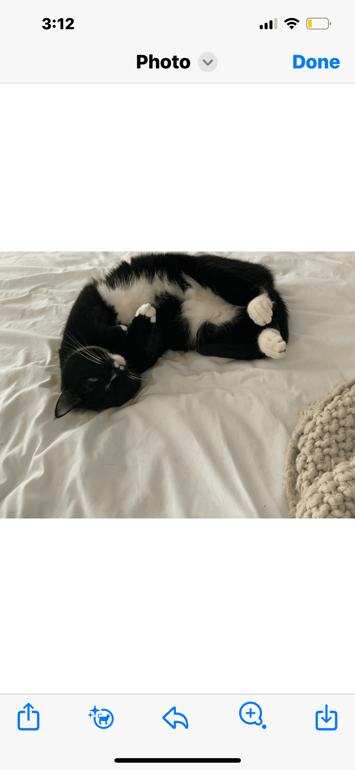 Ms. Bella (Courtesy Post)
