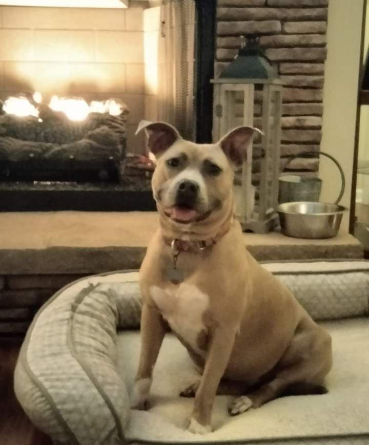 Bonnie (bonded to Clyde)