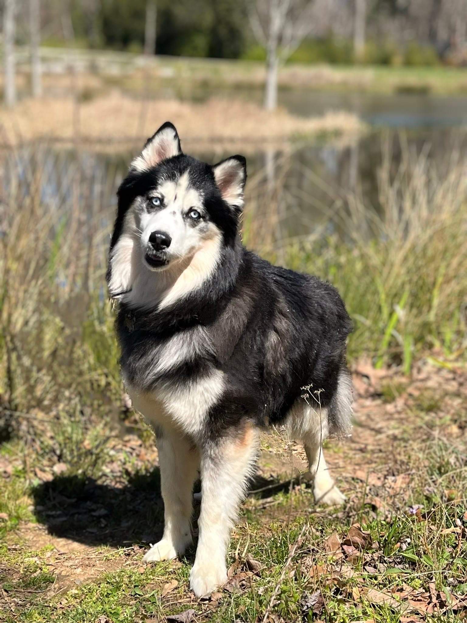 Kino