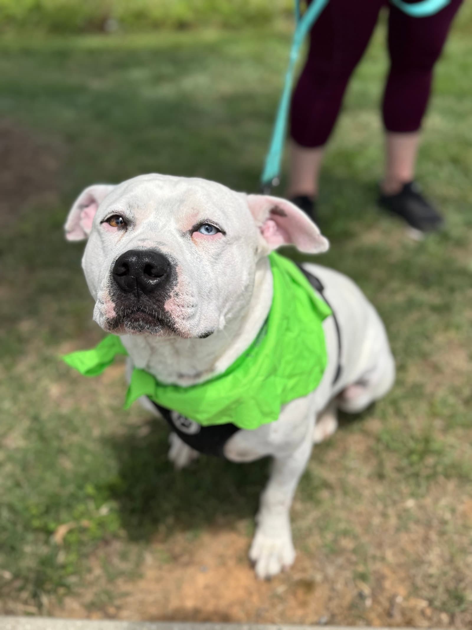 Sammy