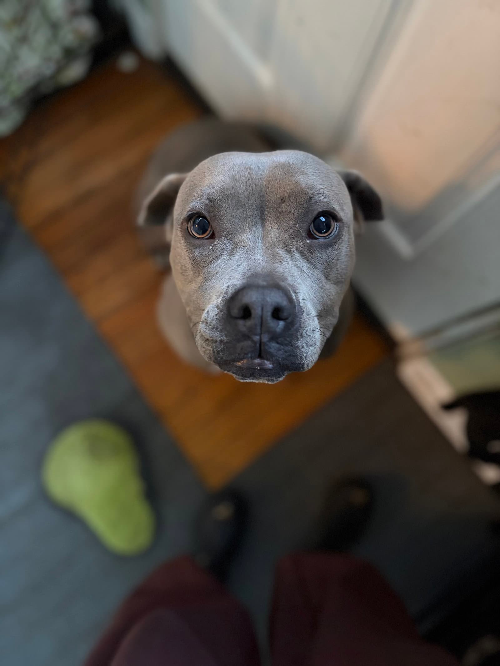 Lil Mama