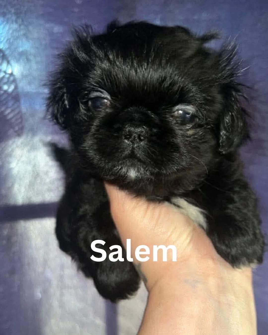 Salem JC in MS