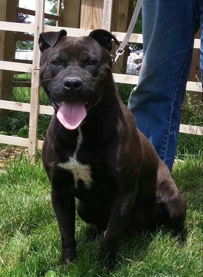 ONYX