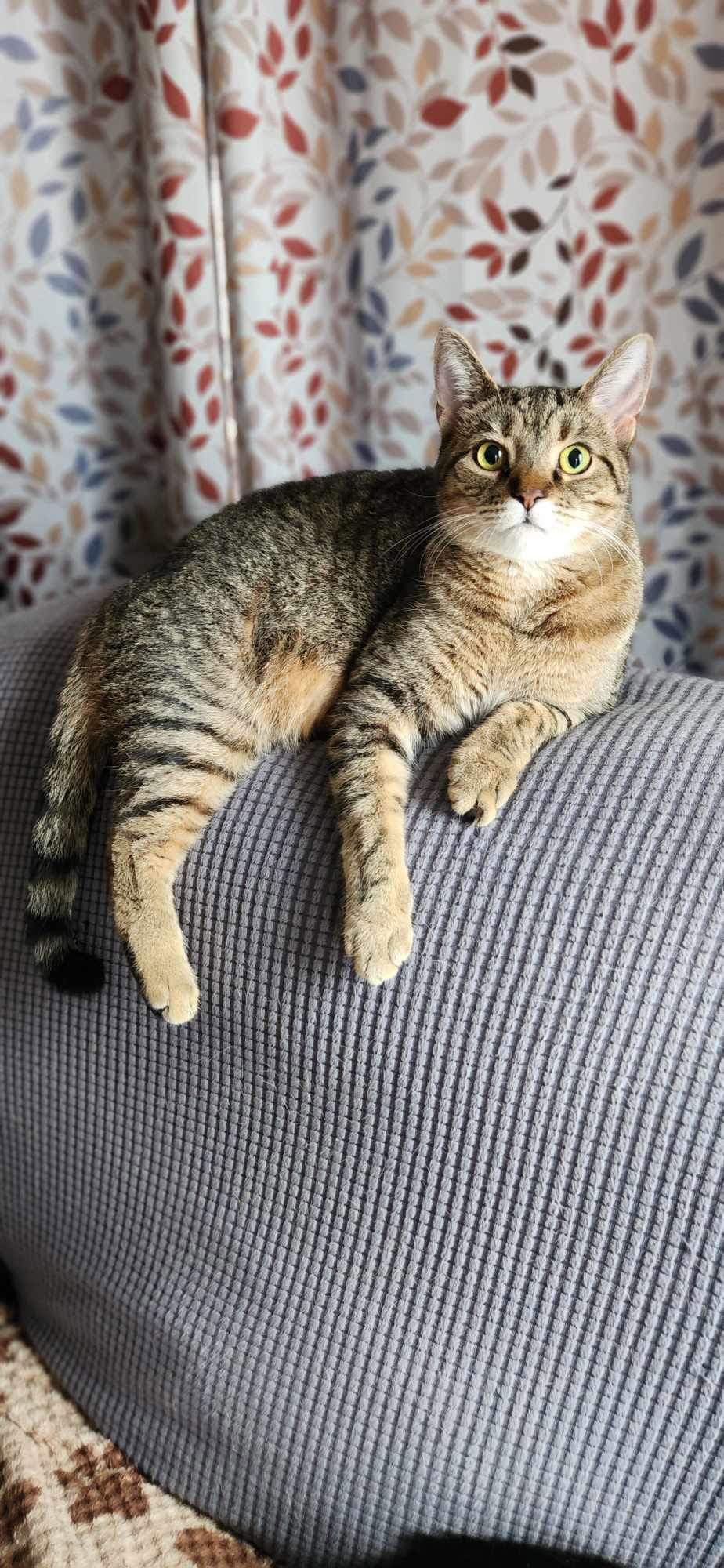 Lily - AD