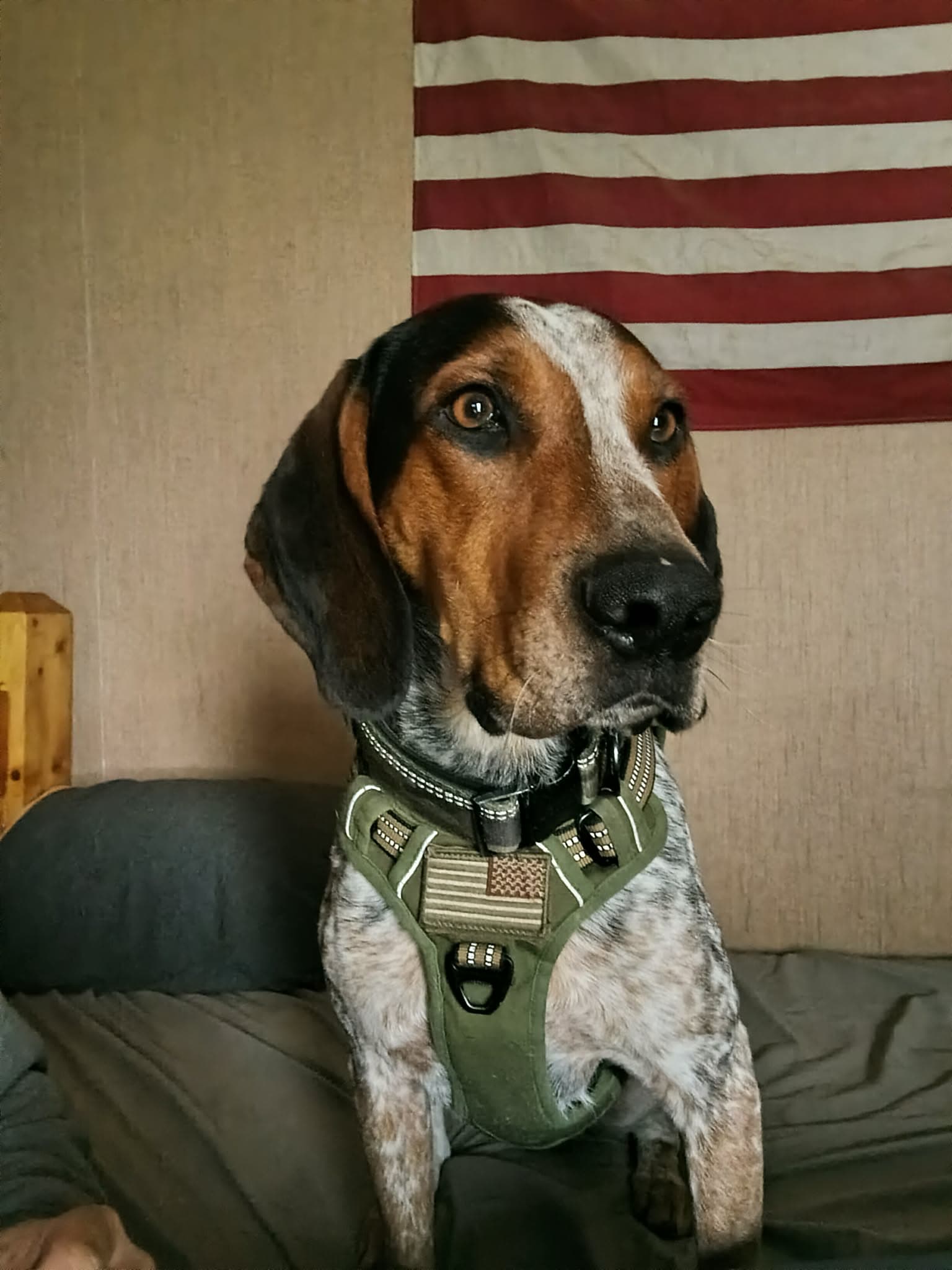 Mack