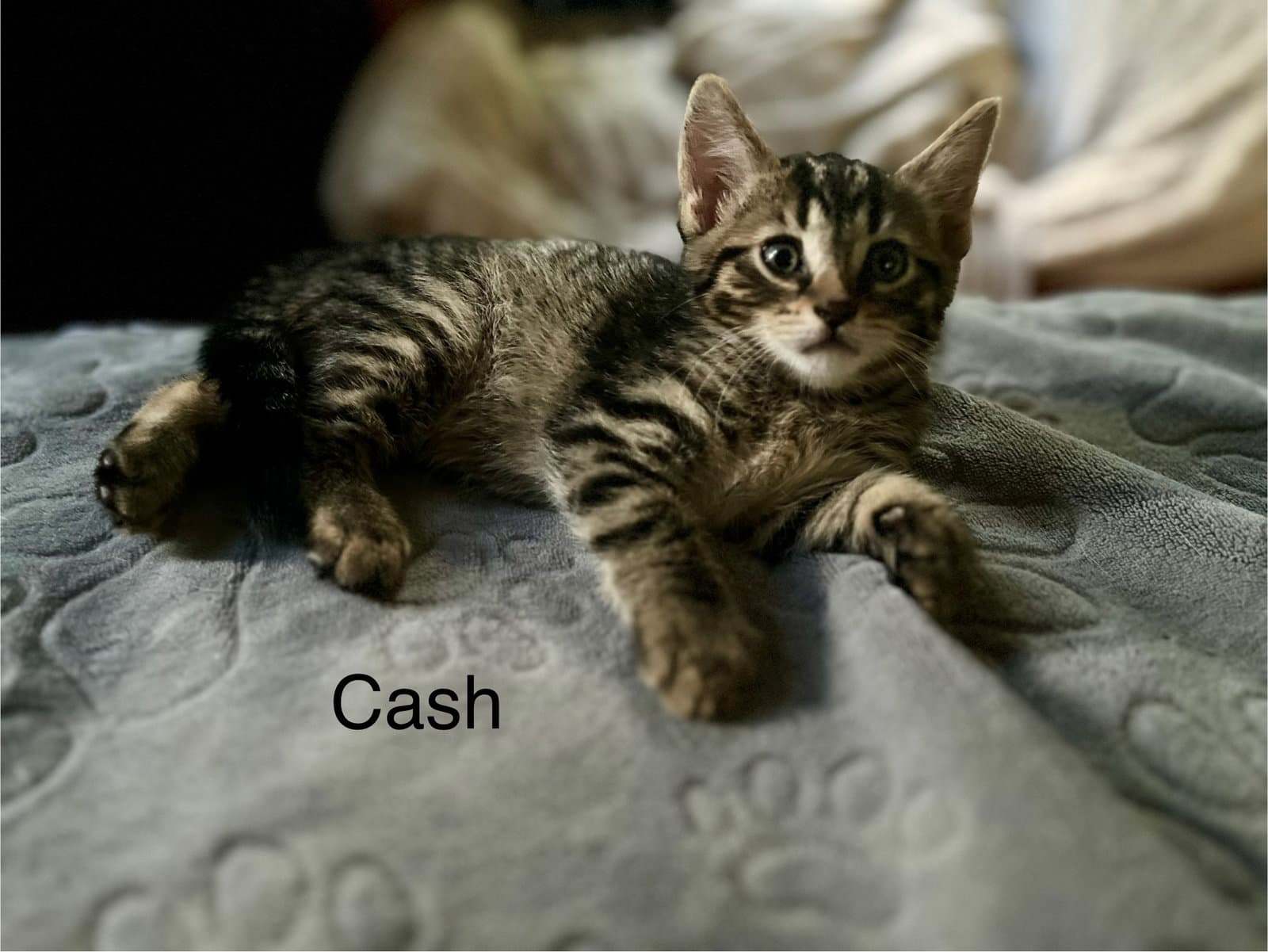 Cash BM