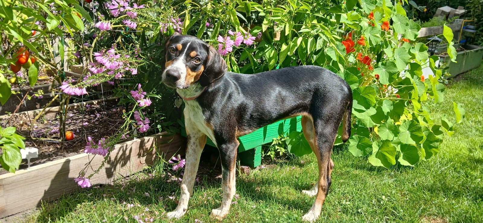 Mable - BO