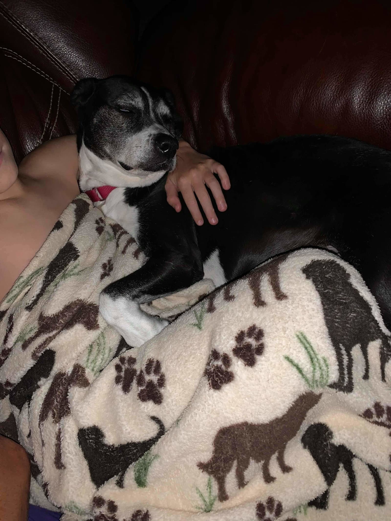 D.O.G.(DeeOhhGee)