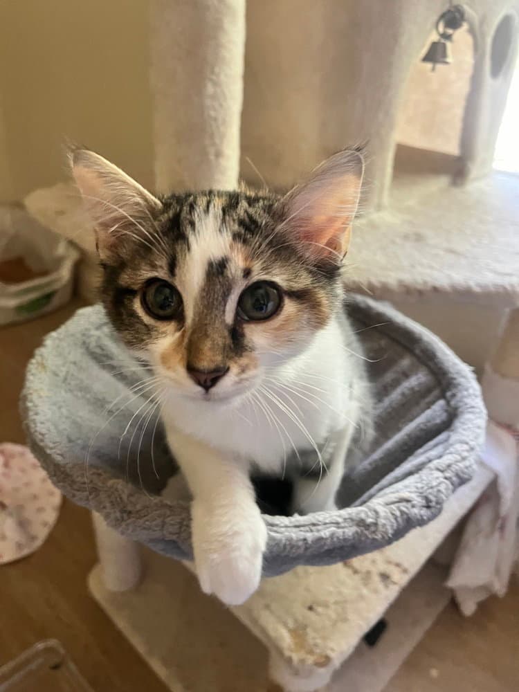 Maggie Mae