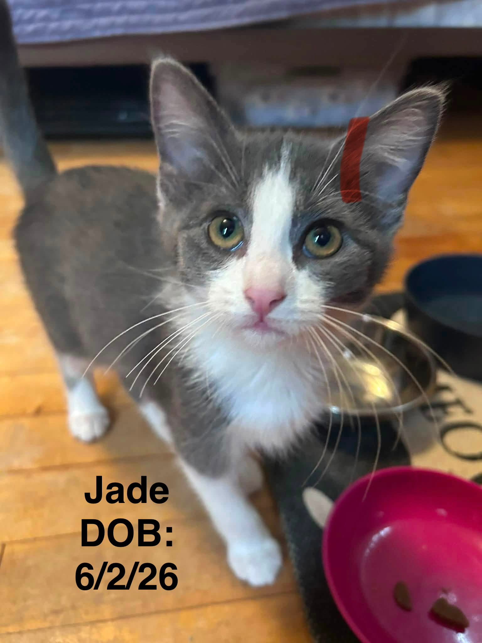 Jade
