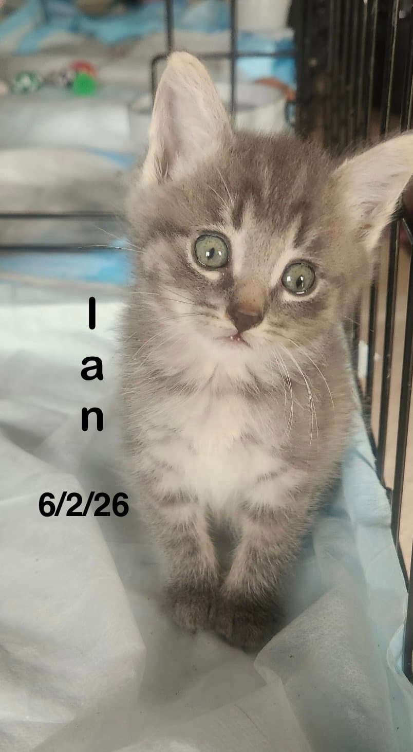Ian