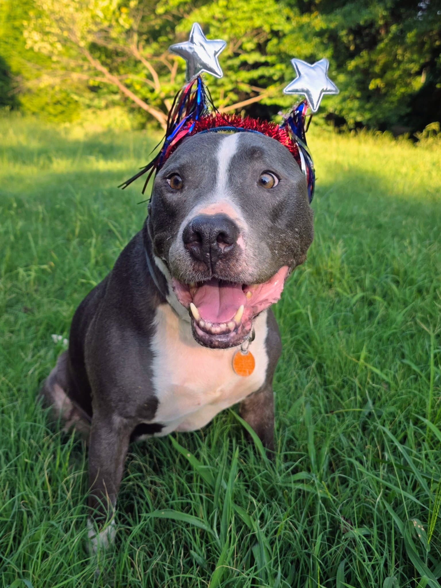 Bruno