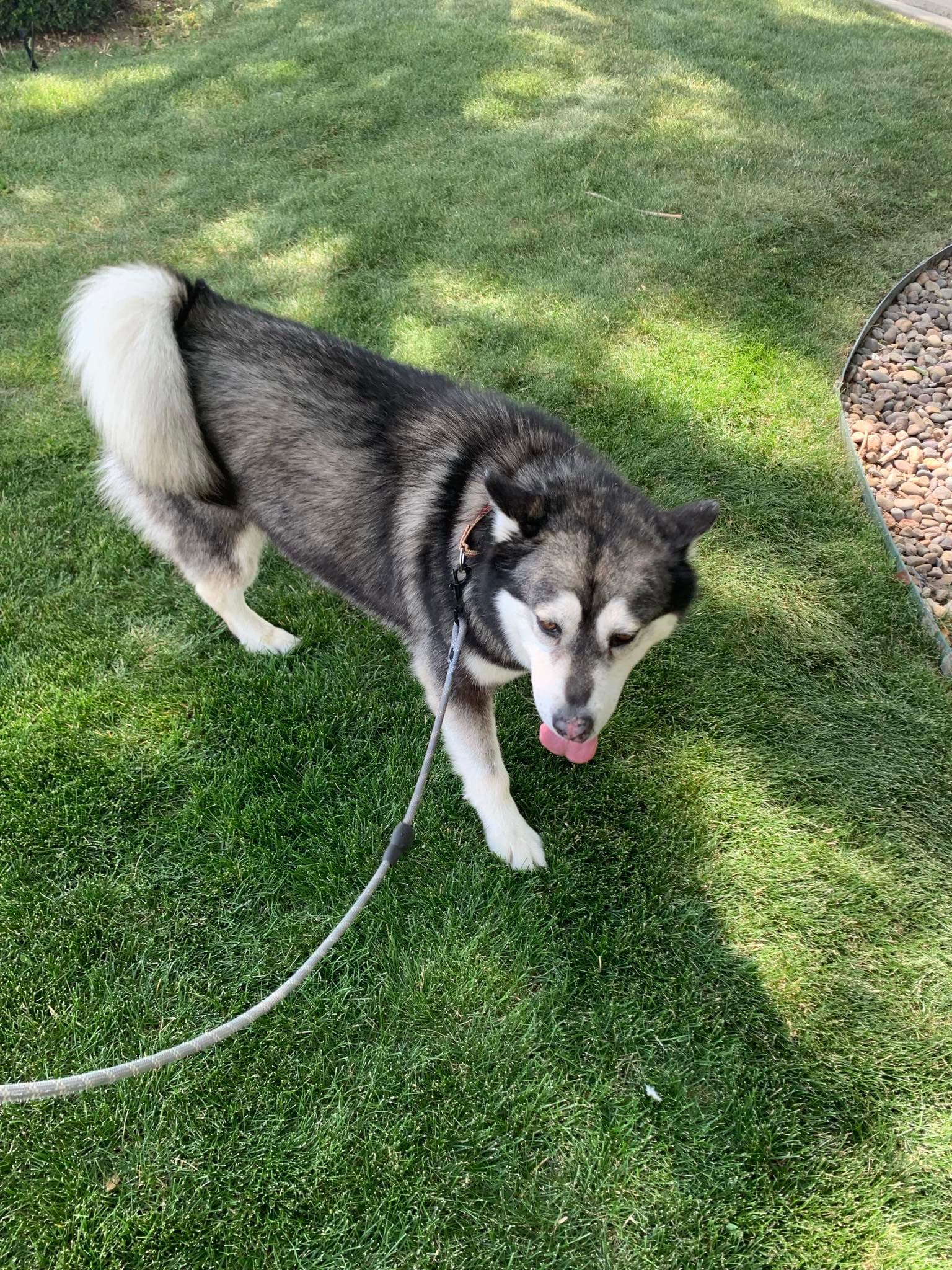 Benson