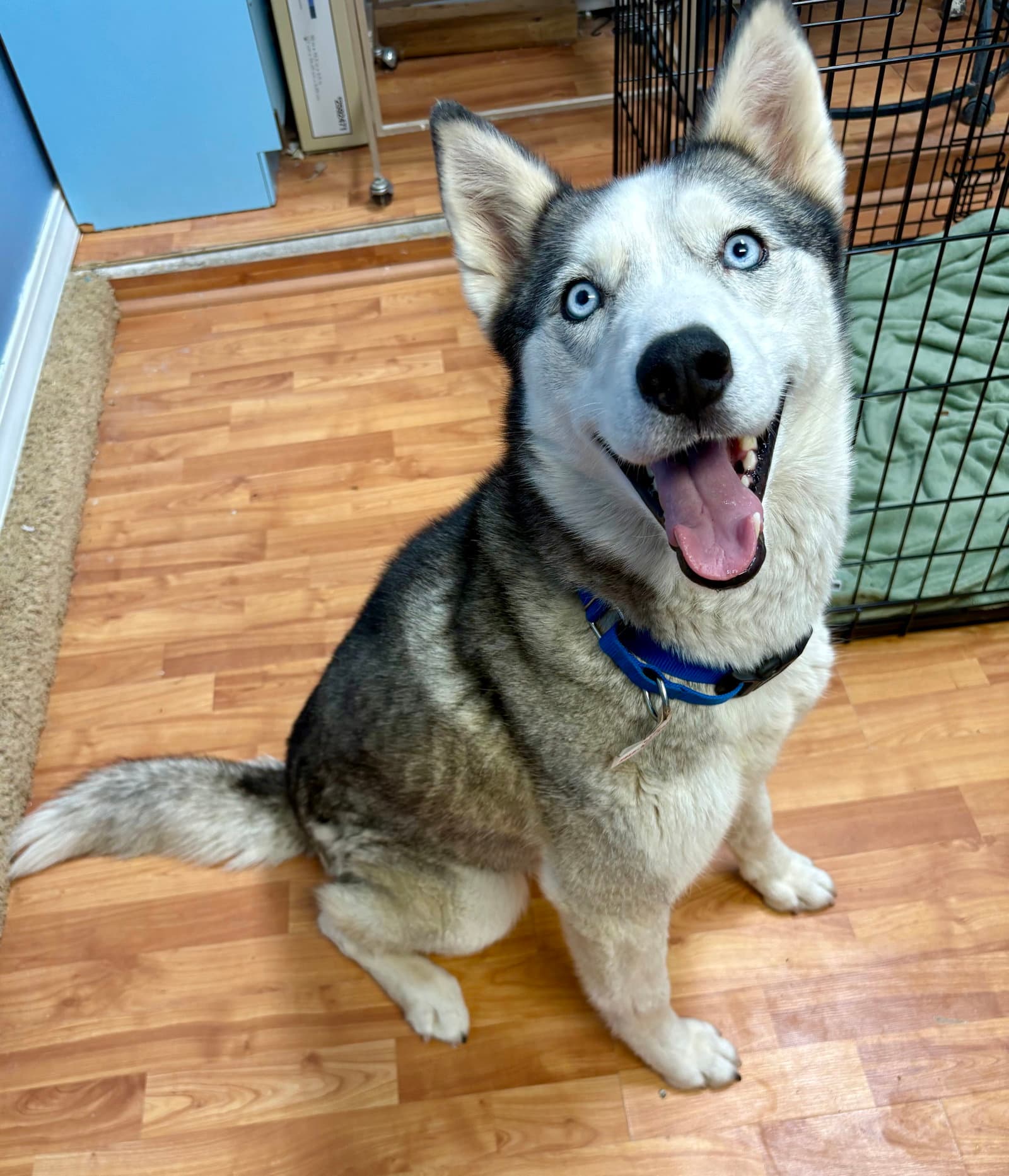 Skye