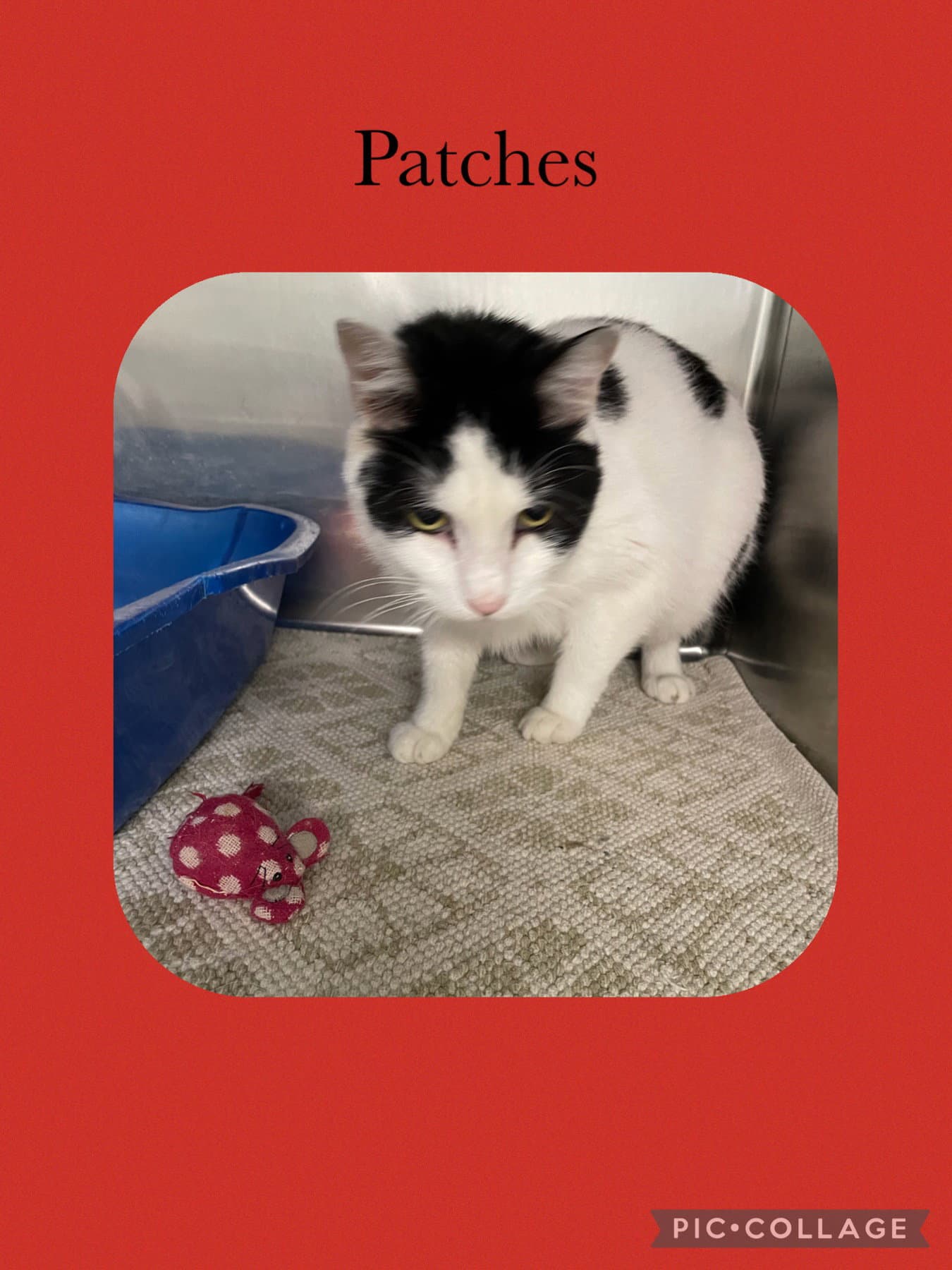 Patches
