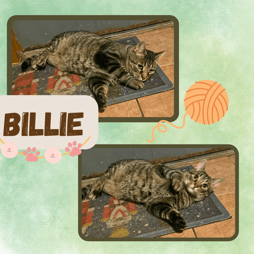 Billie