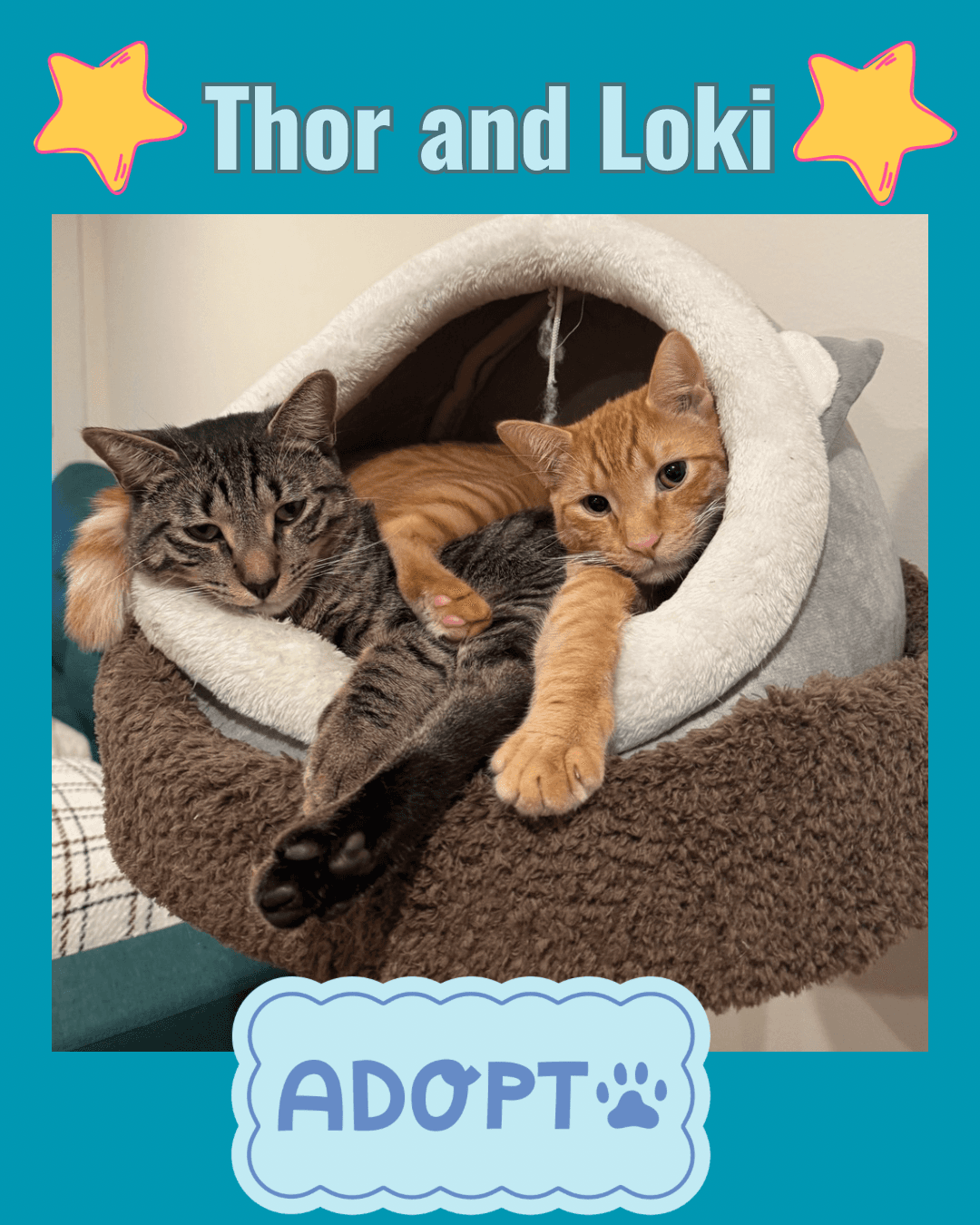 Thor and Loki