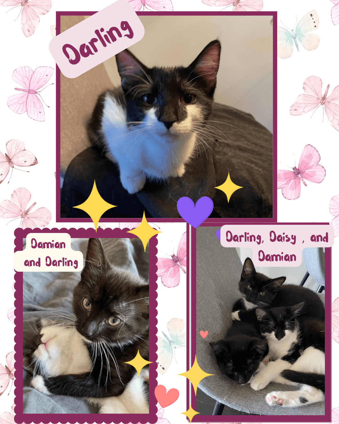Daisy, and Damian