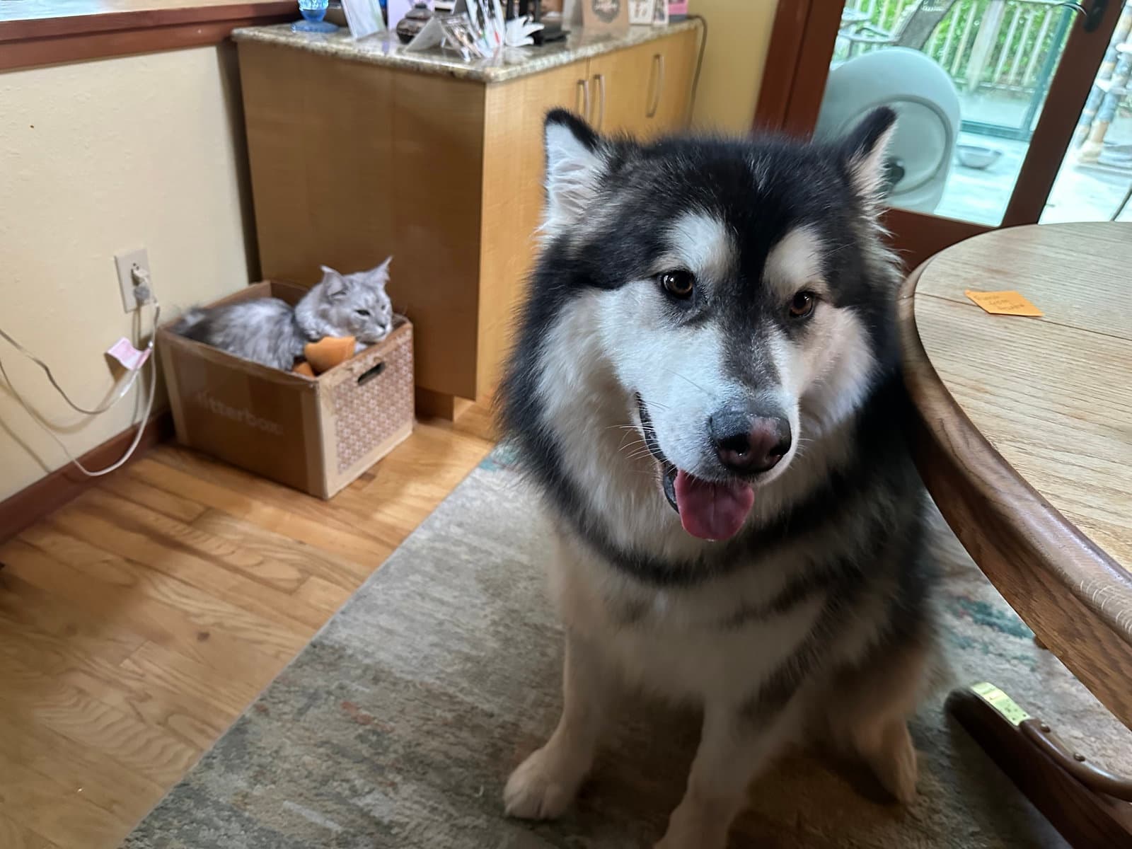 KUMA