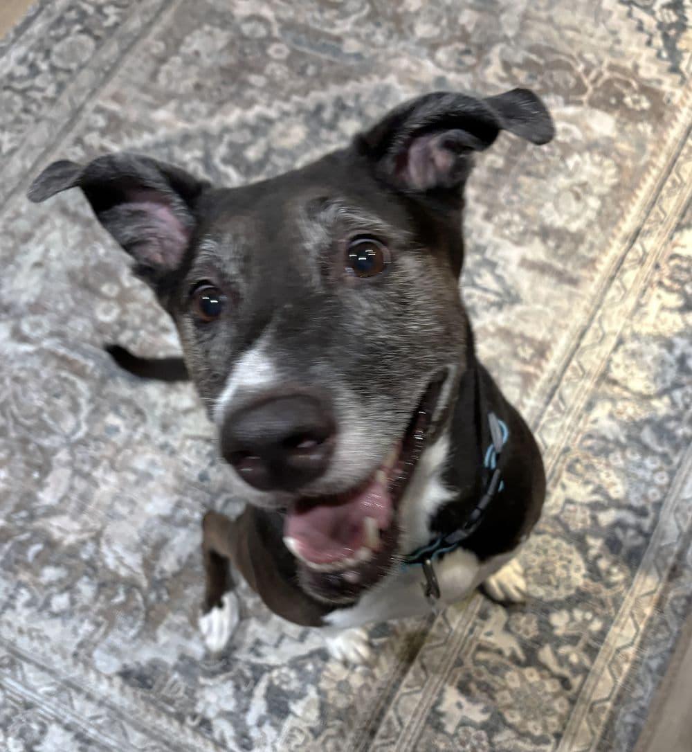 Rosie