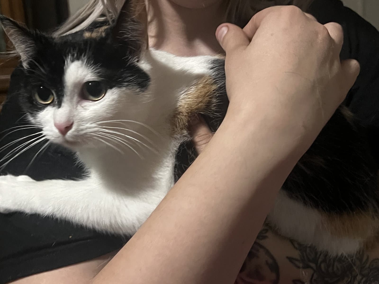 ESME