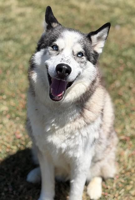 Bonnie