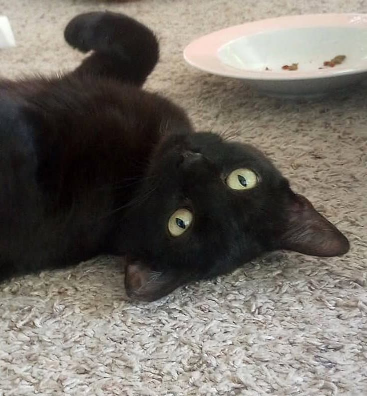 Kali