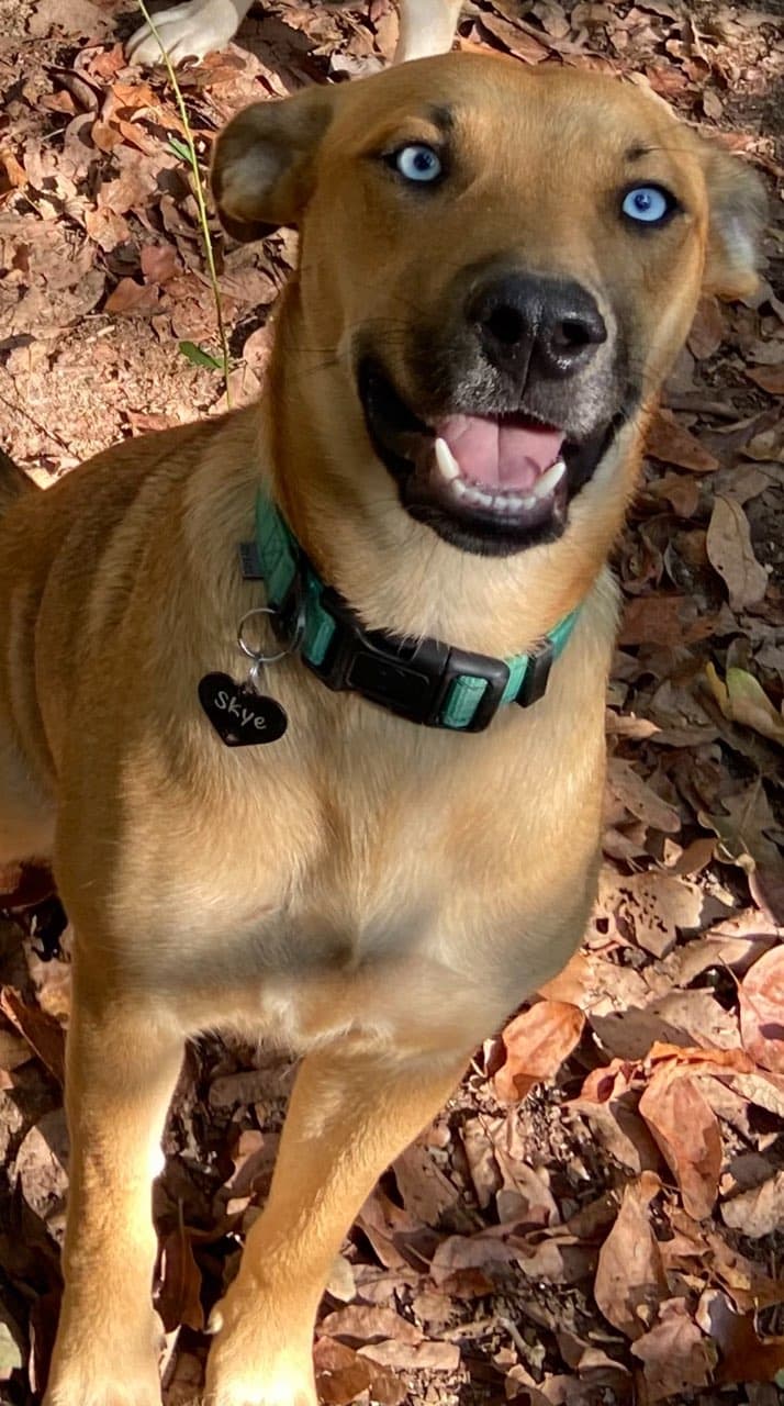 Skye