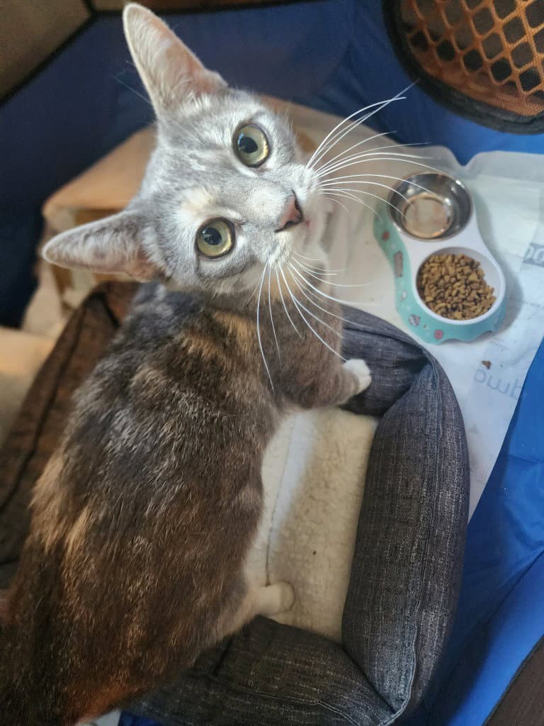 Eleanor