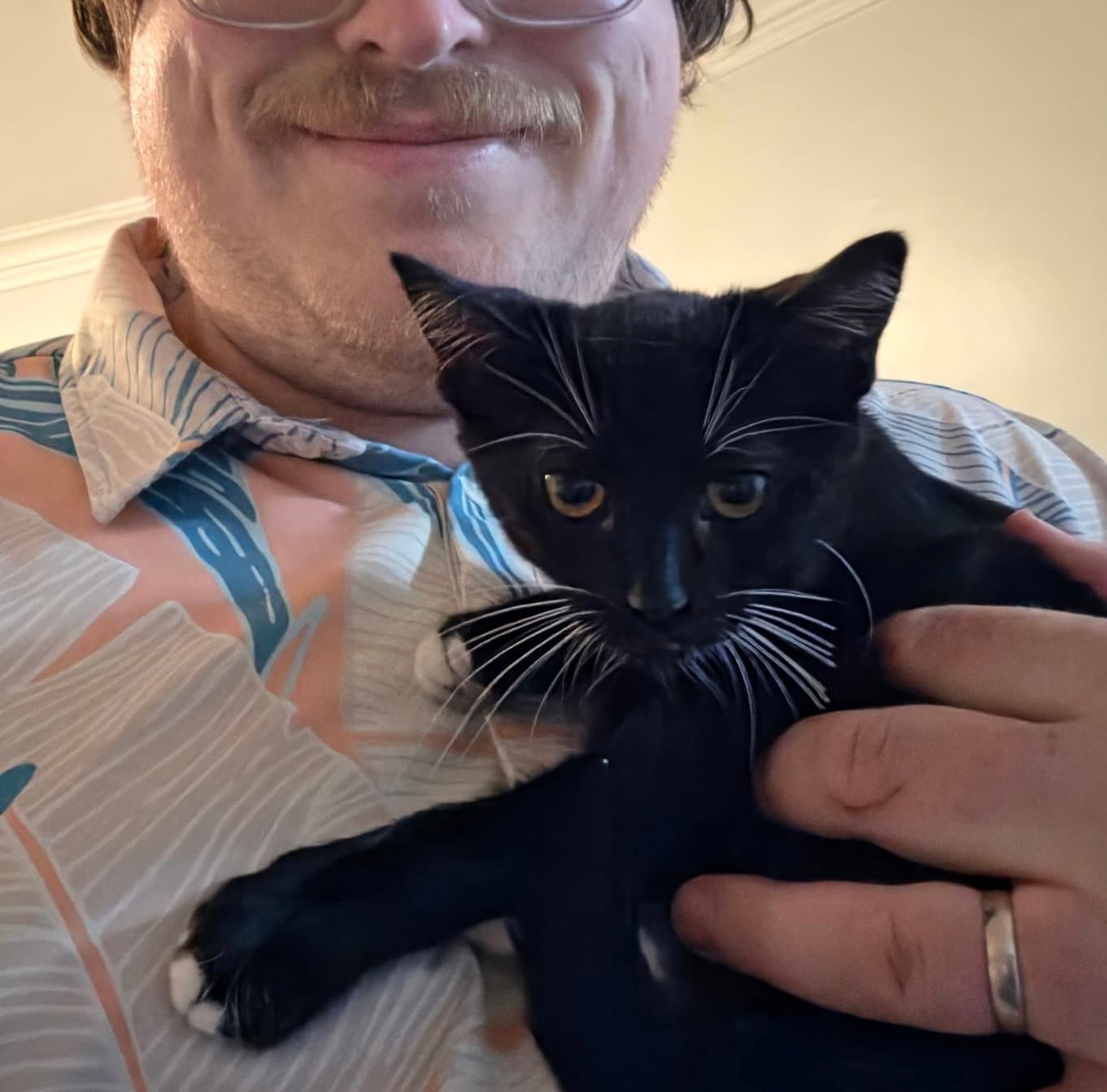 Fig bonded with Pouperie