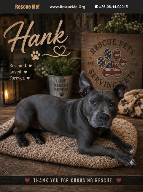 Hank