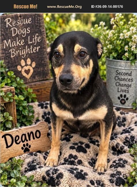 Deano