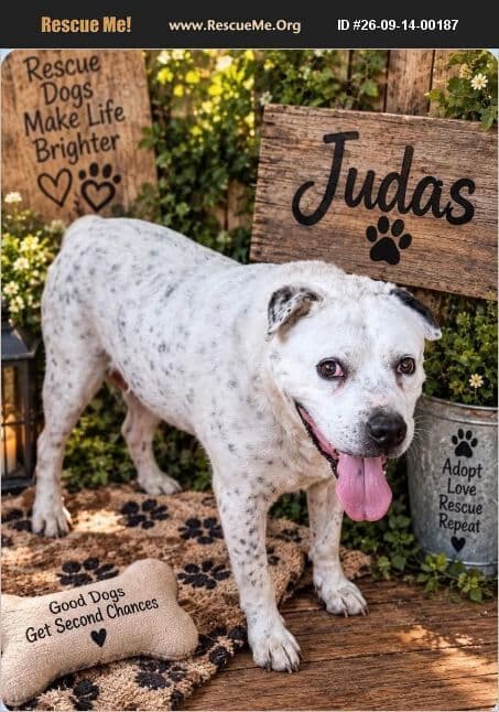 Judas