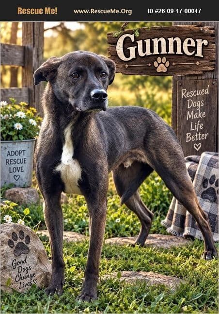 Gunner