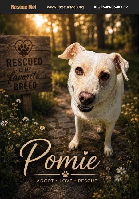 Pomie