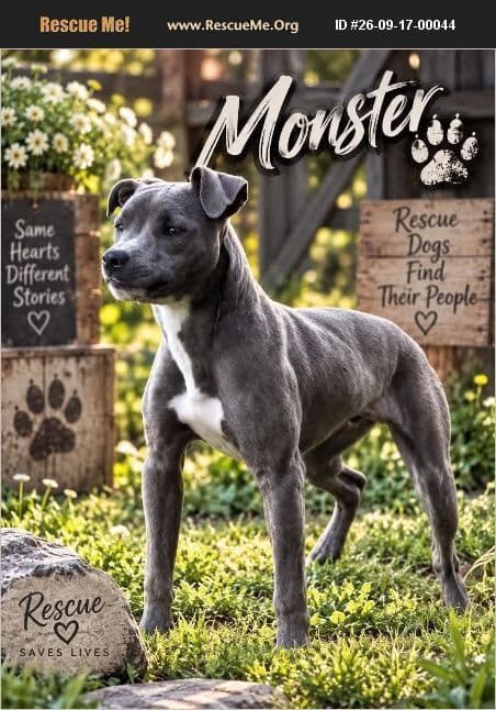 Monster