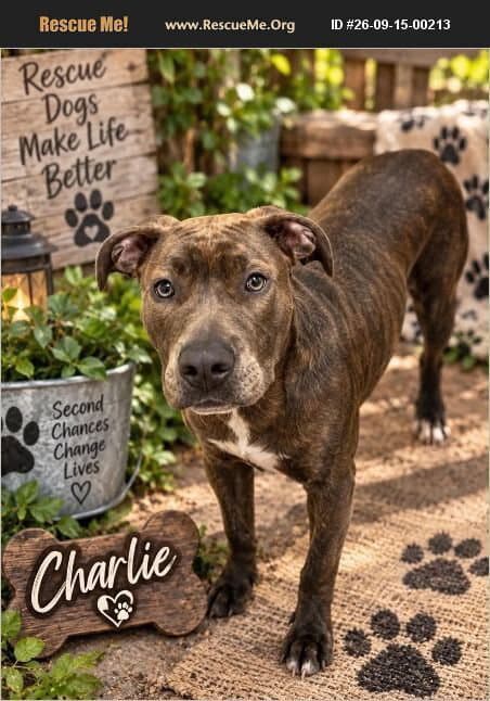 Charlie