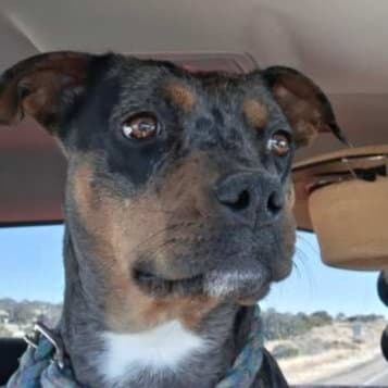 KOCO (US, New Mexico) yo