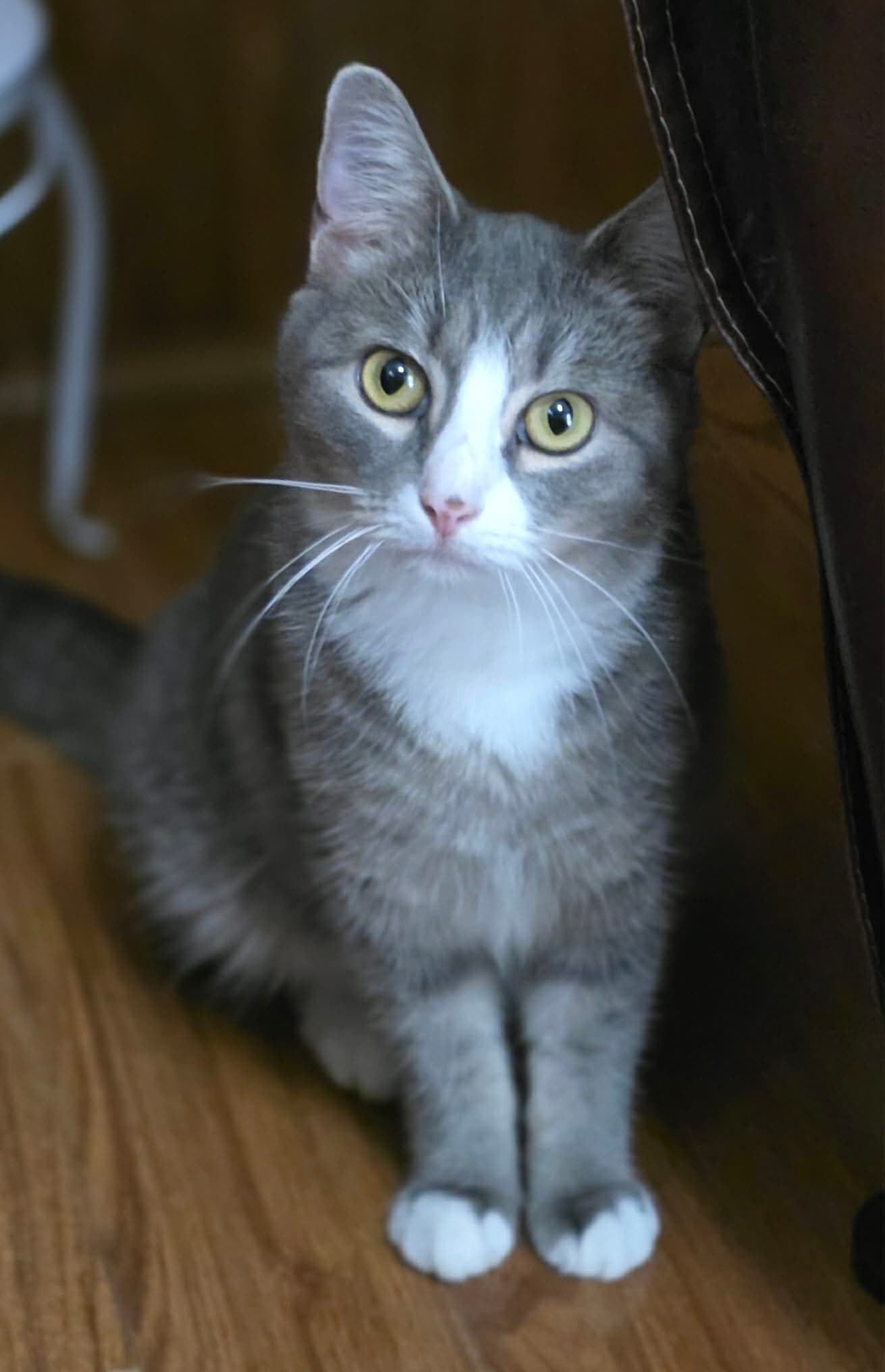 Izzy