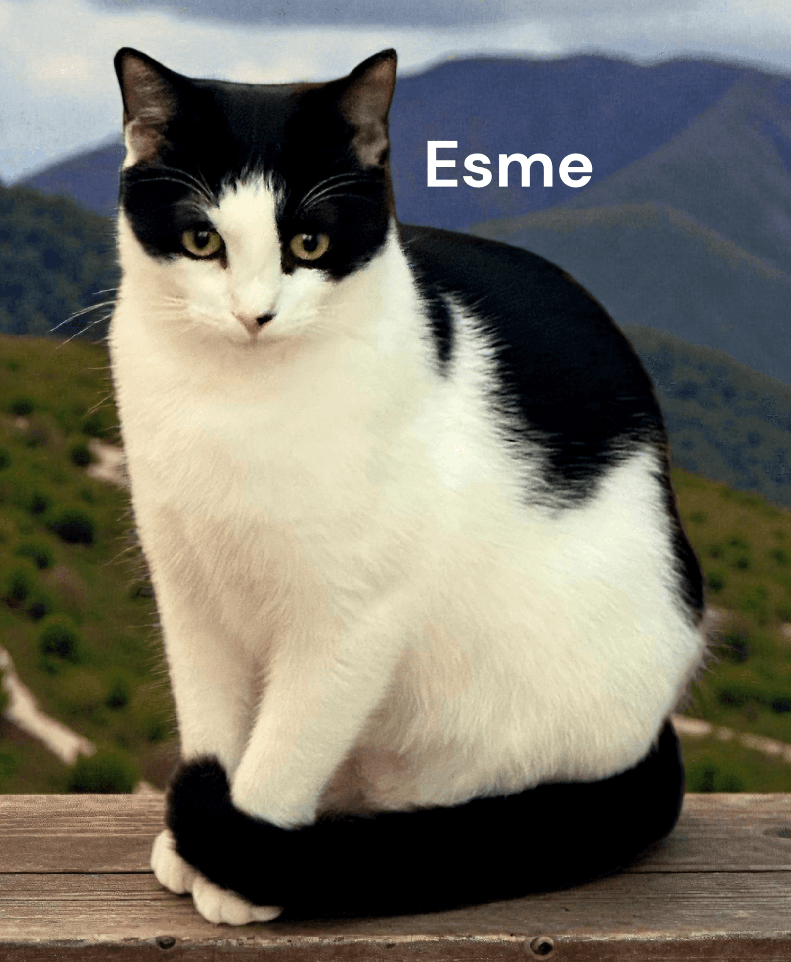 Esme