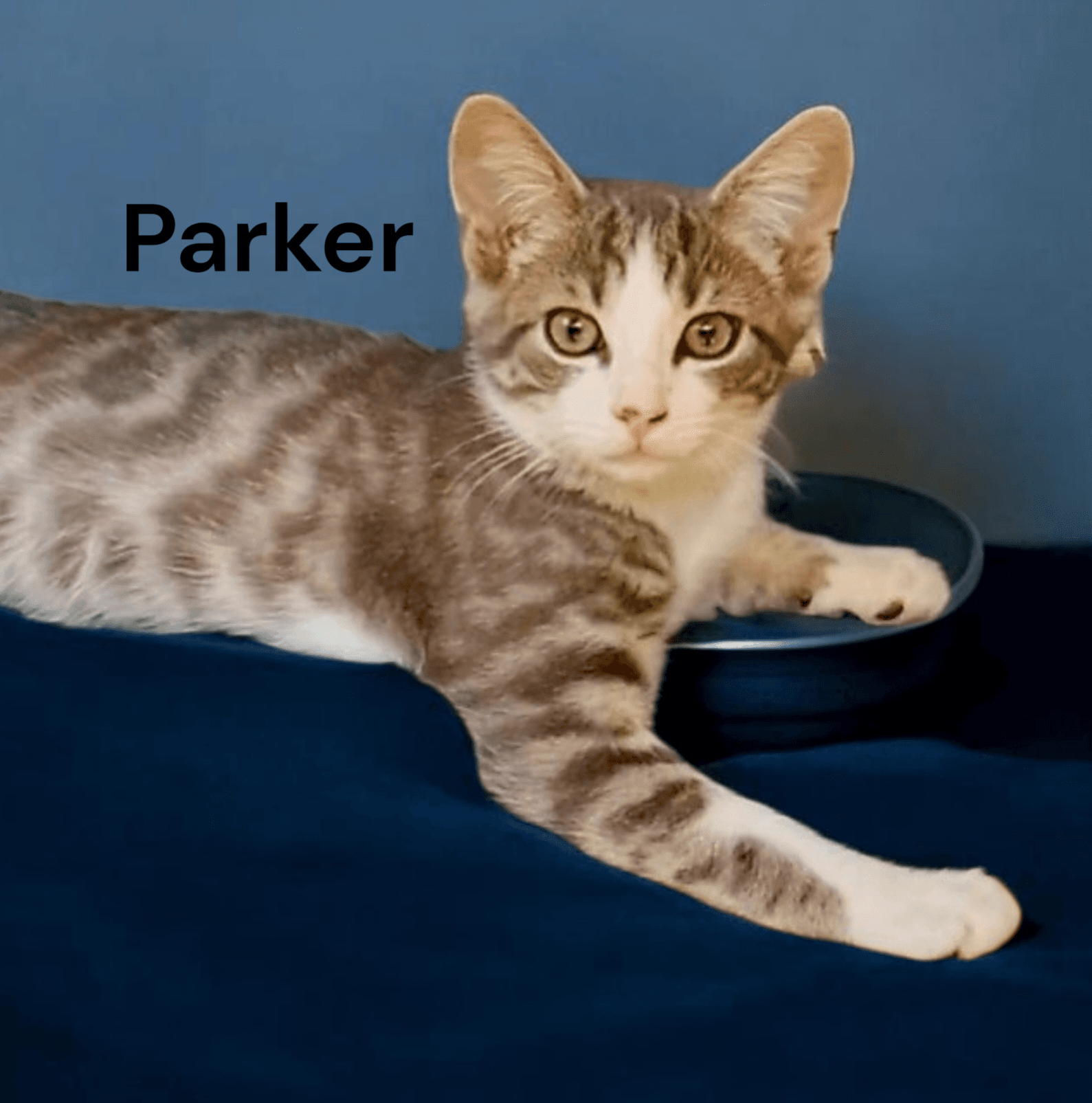 Parker