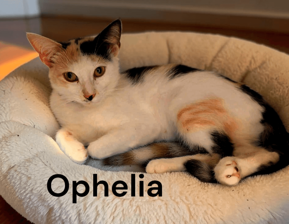 Ophelia